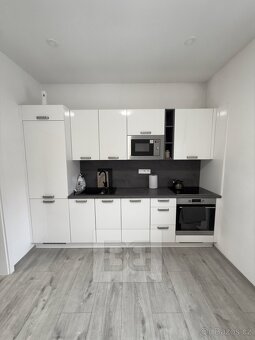 Pronájem bytu 1+1 45 m², se zahradou 100 m² - Mělník - 2