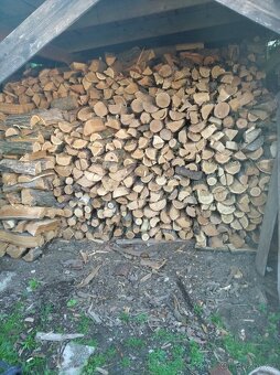 Prodám suché palivové  dřevo - 2