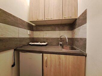 Pronájem zařízeného bytu 1+kk s velkou lodžií, CENTRUM - 2