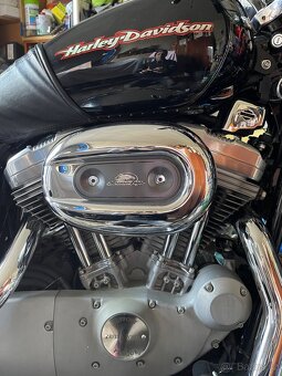 HD Sportster xl custom 883 - 2