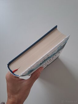 Michaela Klevisová: Letní slunovrat - 2