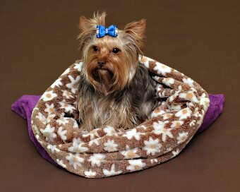 Pelíšky pro psy - 2