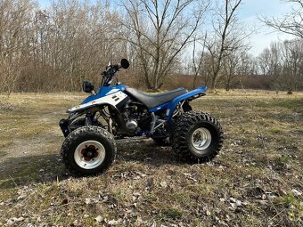 Yamaha Warrior 350 - 2