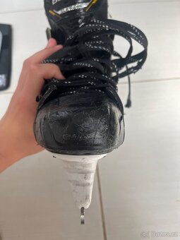 Brusle bauer m5 pro + náhradní nože vel. 6 fit 1 (40.5) - 2