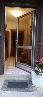 Ocelové vchodové dveře s kouřovým sklem - 2