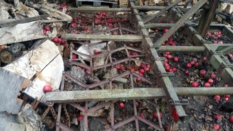 Kultivátor. Radla - 2