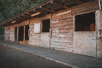ustájení - 2
