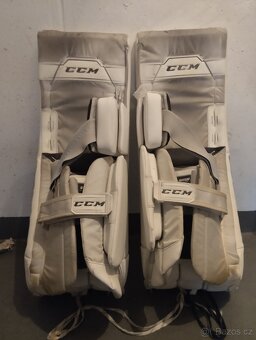 CCM Betony axis 1.9 - 2