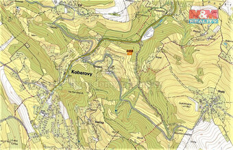 Prodej lesa a louky, 2693 m², Koberovy - 2