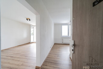 Pronájem bytu po kompletní rekonstrukci o dispozici 1+1 s lo - 2