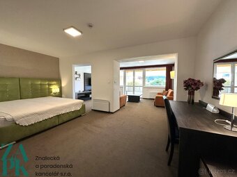 Prodej apartmánu 2+kk/T, 92m2, Lipno nad Vltavou - 2
