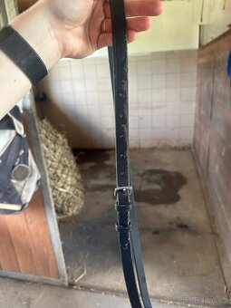 Theidemann martingal - 2