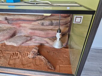 Terárium pro plazy - 2