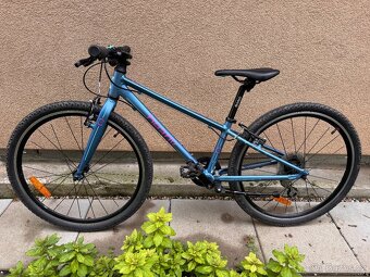 Beany ZERO 24” - 2