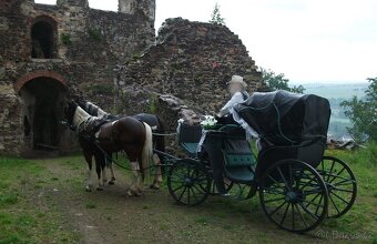 KOČÁR za koně - SLEVA - 2