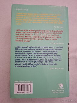 Milion malých střípků - James Frey - 2