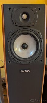 Tannoy P30 - 2