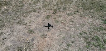 Dron, 2x kamera (přední, spodní), náhradní díly a brašna - 2