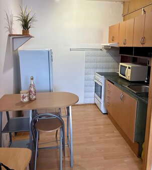 PRODEJ BYTU LOUNY - 2