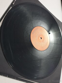 Bob Dylan - Under the Red Sky LP - 2