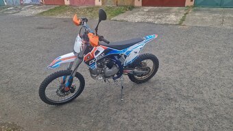 Pitbike Dorado 140ccm - 2