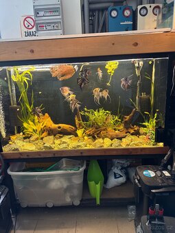 Akvarium 300 litrů - 2