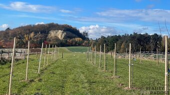 Prodej Ranch pozemku s výhledem 25.976 m2 - 2