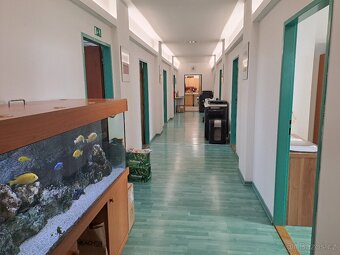 20,40,60,80,100, 160,180, 420 m2-kancelář Brno od majitel  l - 2