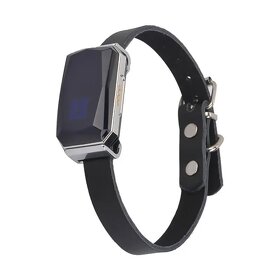 GPS obojek pro psa i pro kočku, GPS tracker - 2