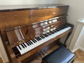 Zánovní Petrof 2005 - 2