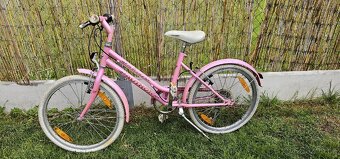 Author Melody 20" - 2