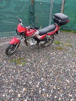 Adams 125 - 2