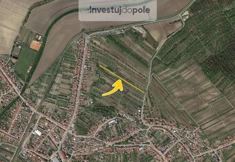 Prodej pole v k.ú. Kobylí na Moravě - 2