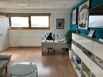 Luxusní nebytové prostory k pronájmu – 120 m², Plzeň - Červe - 2