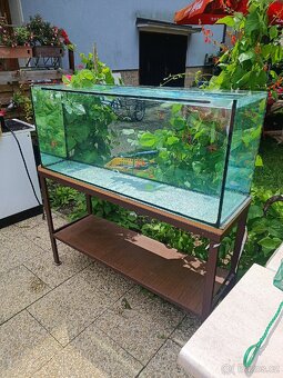 Akvárium 250l se stojanem - 2