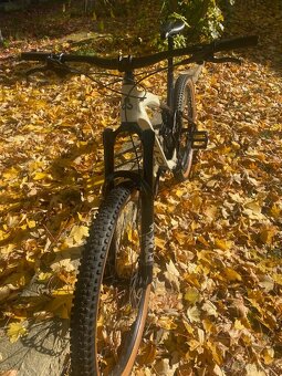 CTM SCROLL XPERT 29" 2023 - 2