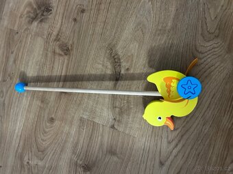 Kačer dřevěný - 2