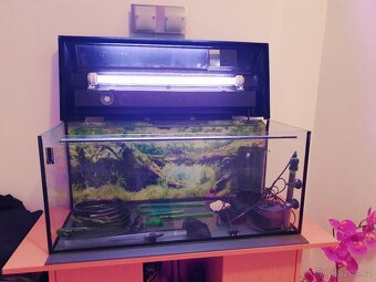 Akvarium 80 l - 2