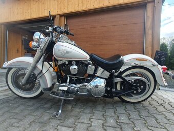 Harley davidson heritage - 2