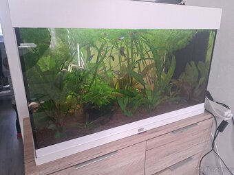 Juwel rio 120 - 2