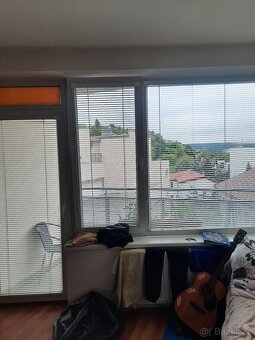 Pronájem bytu 1kk, Vídeňská, Brno - 2