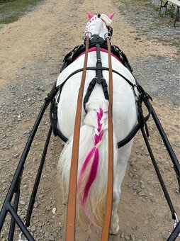 Sulka za pony, postroj minishetty - 2