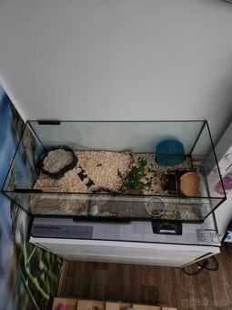 Akvarium 84l - 2