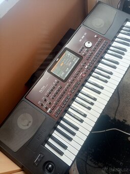 Korg pa 700 - 2