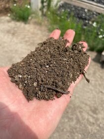 Kompost tříděný, netříděný, prosátá zemina - 2