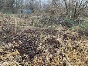 Zemina - jíl za odvoz - 2