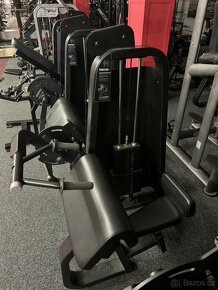Triceps v sedě PRECOR USA - 2