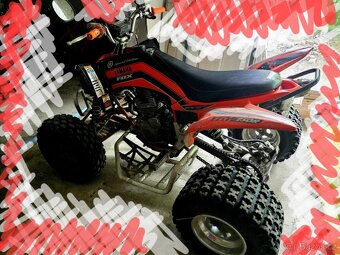 Yamaha raptor 250 S TP - 2