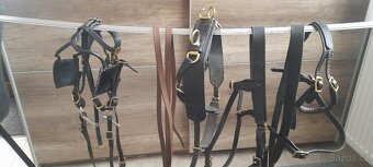 Postroj do sulky minihorse - 2