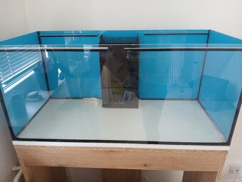 Mořské akvarium - 2